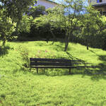 Giardino Canon - 02