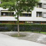 Giardino case di via Volta - 03