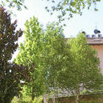 Giardino Centro civico Romagnano - 03