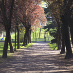 Giardino del Salè - 08