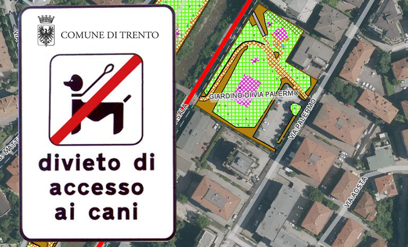 Immagine decorativa