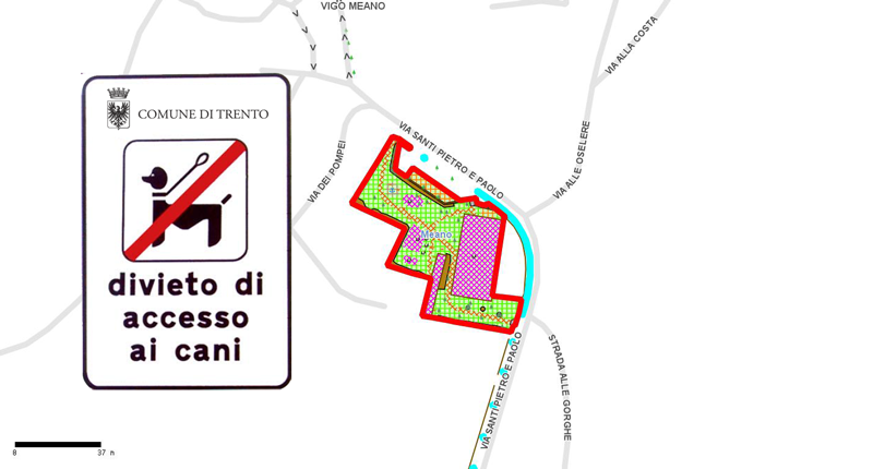 Divieto di accesso ai cani Divieto di accesso ai cani