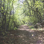 Doss S.Agata - foto 1