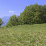 Doss S.Agata - foto 3