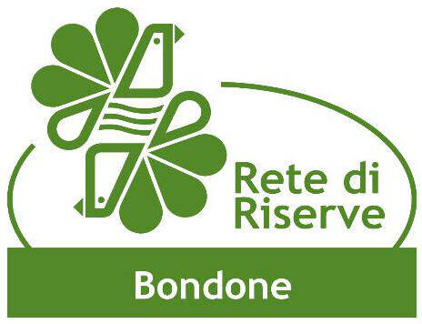 imagine logo della rete