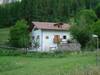 immagine decorativa