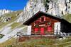 immagine decorativa