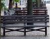 Panchine poste lungo piazza di Fiera