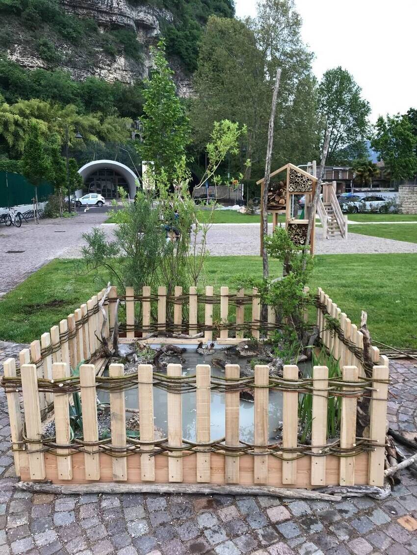 Aiuola dedicata alla biodiversità e posta in Piazza a Piedicastello Aiuola dedicata alla biodiversità e posta in Piazza a Piedicastello