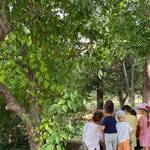 Esploratori Cercasi! Trova il tesoro nel giardino