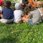 Esploratori Cercasi! Trova il tesoro nel giardino