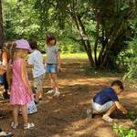 Esploratori Cercasi! Trova il tesoro nel giardino