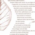 Terzo pannello  del percorso