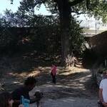 Foto inaugurazione dell'area cani di S. Pio X