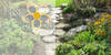 immagine decorativa