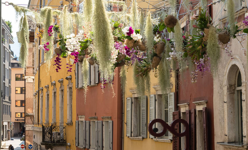 Allestimento floreale aereo in via delle Orne Allestimento floreale aereo in via delle Orne