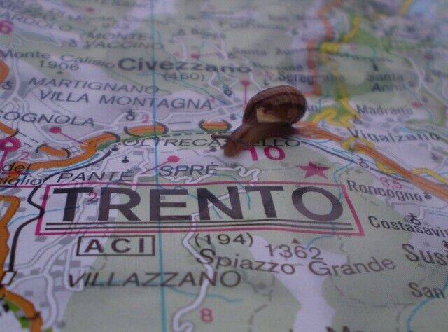 foto di R.Daddio - mappa di Trento