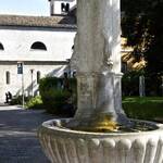 Fontana dei delfini, foto Luisella Decarli