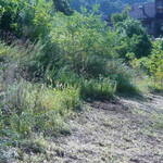 Terreno via Sabbioni Povo - foto 3