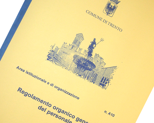 Regolamenti comunali