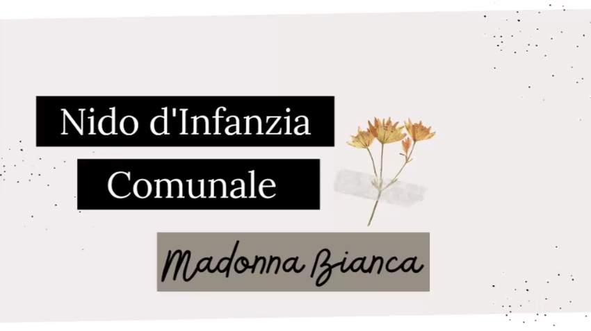 immagine decorativa