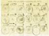 Immagine decorativa