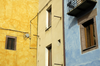 Immagine decorativa
