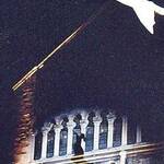 foto P. Rapalino 