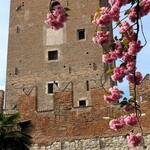 Torre Vanga in primavera