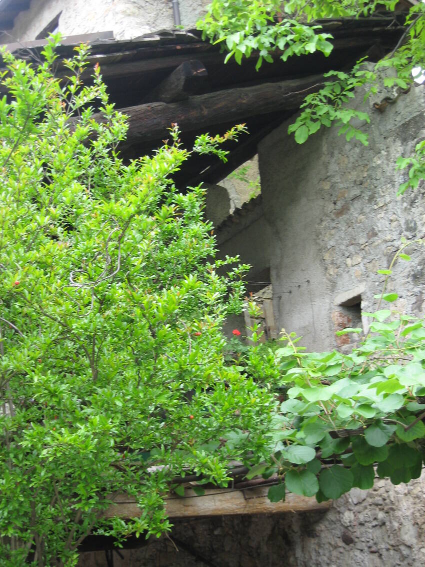 Edificio Rurale e Palazzetto