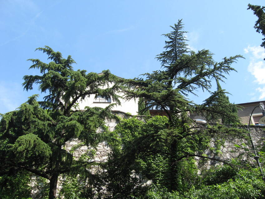 Convento di S. Bernardino 