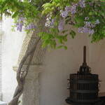 Palazzi Aperti - 7 maggio 2012