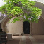 Palazzi Aperti - 7 maggio 2012