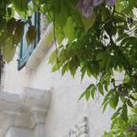 Palazzi Aperti - 7 maggio 2012
