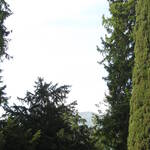 Palazzi Aperti - 9 maggio 2012