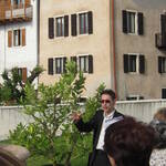 Palazzi Aperti - 9 maggio 2012