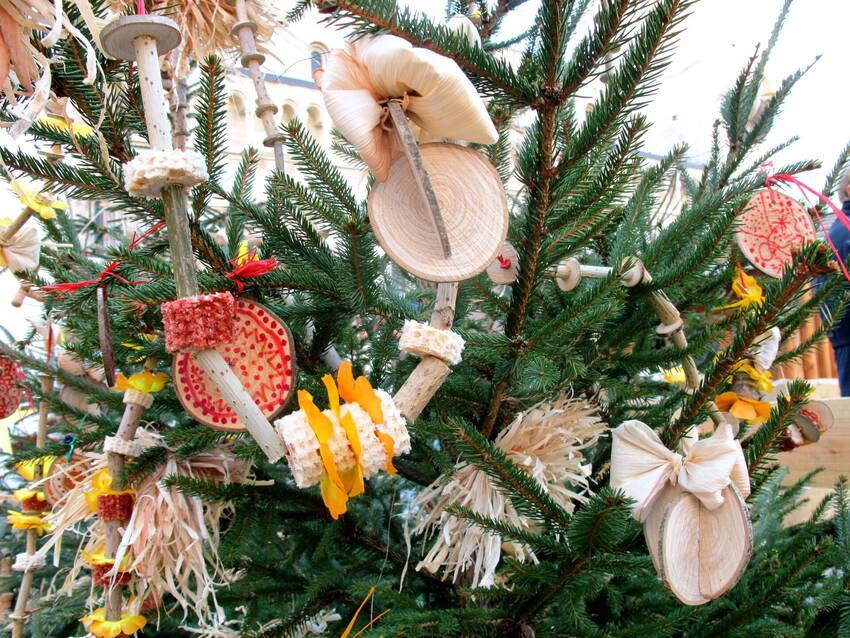 albero_creaTtivo (2)