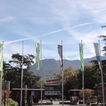 Piazza Dante vista dalla stazione ferroviaria