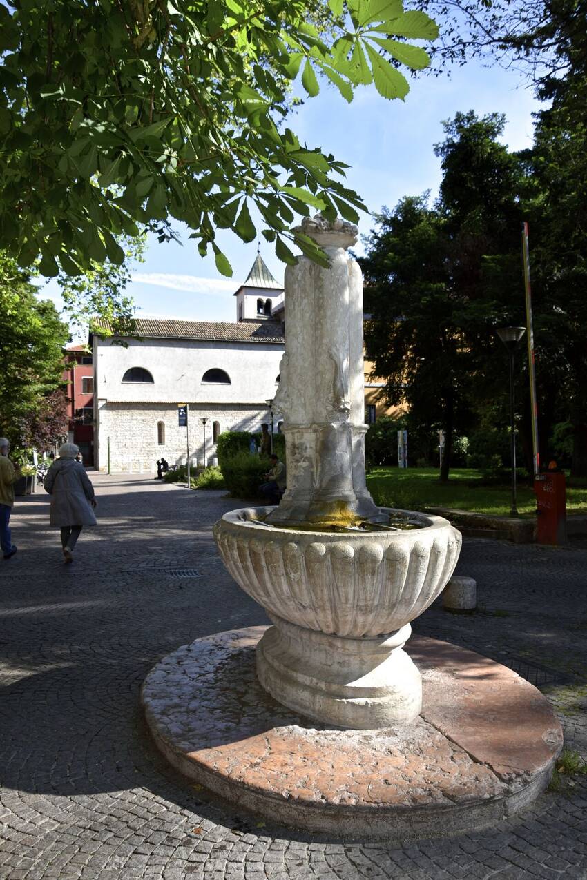 foto di Luisella Decarli