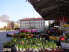Piazza Fiera