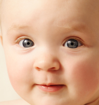 Bambino