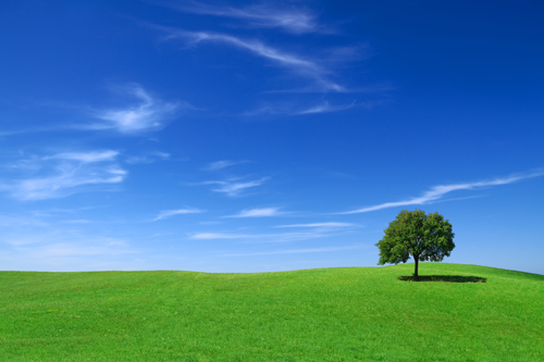 Immagine simbolica (prato, cielo, albero)