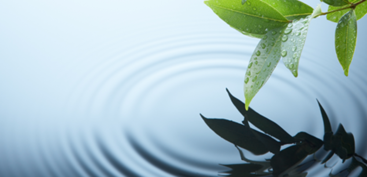 Acqua